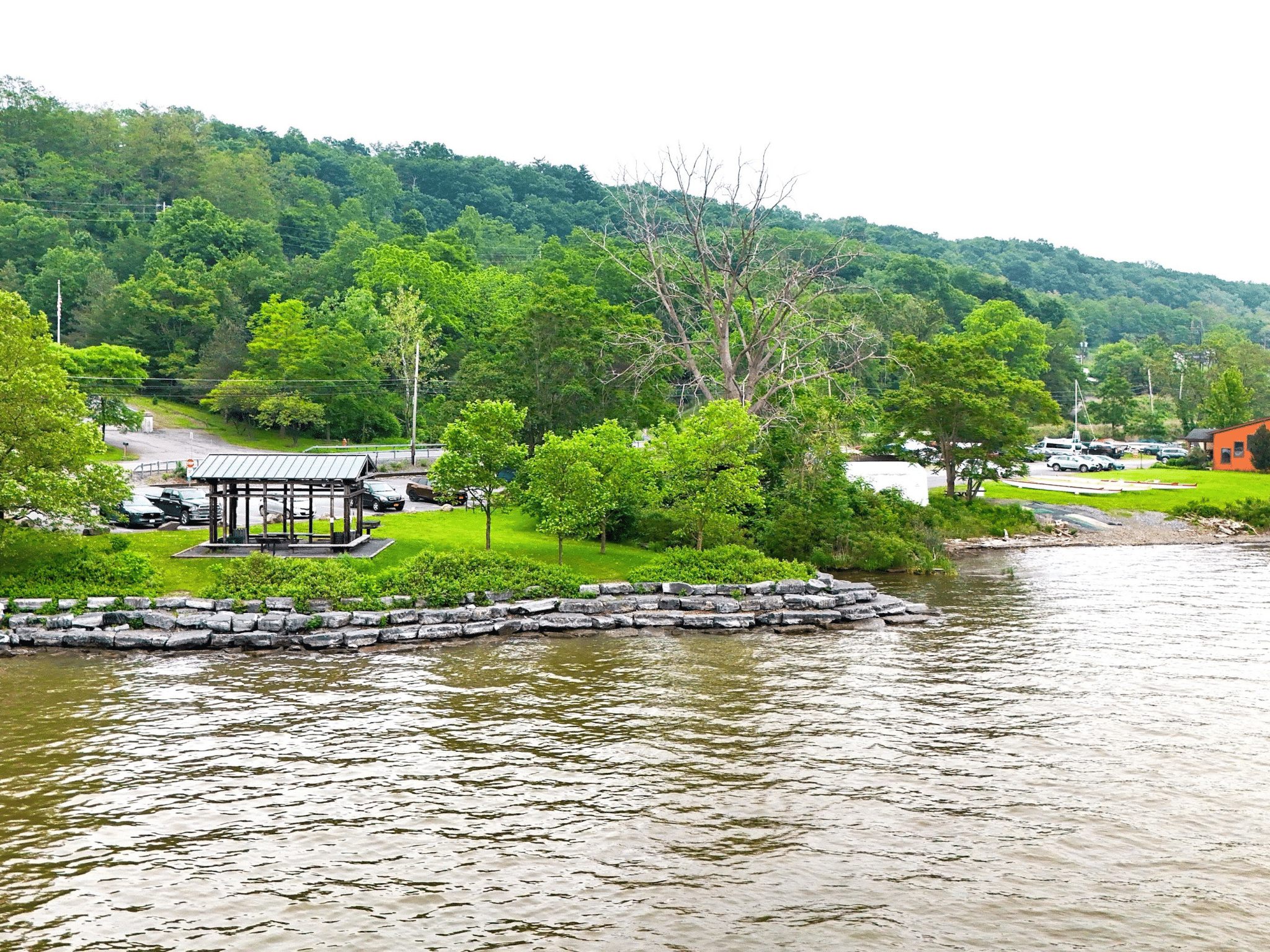 Cayuga Lake Health Watch Starts | Tompkins Weekly